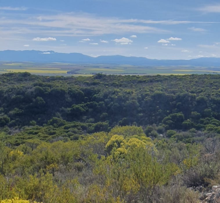 0 Bedroom Property for Sale in Riversdale Rural Western Cape